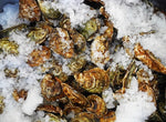 Charger l'image dans la galerie, YOKHOS Senegalese Dry Oysters Huitres Sechés 200g
