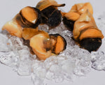 Charger l'image dans la galerie, Wild-Caught Senegalese Dried Sea Snail (Toufa)NET WT 200g(7oz)
