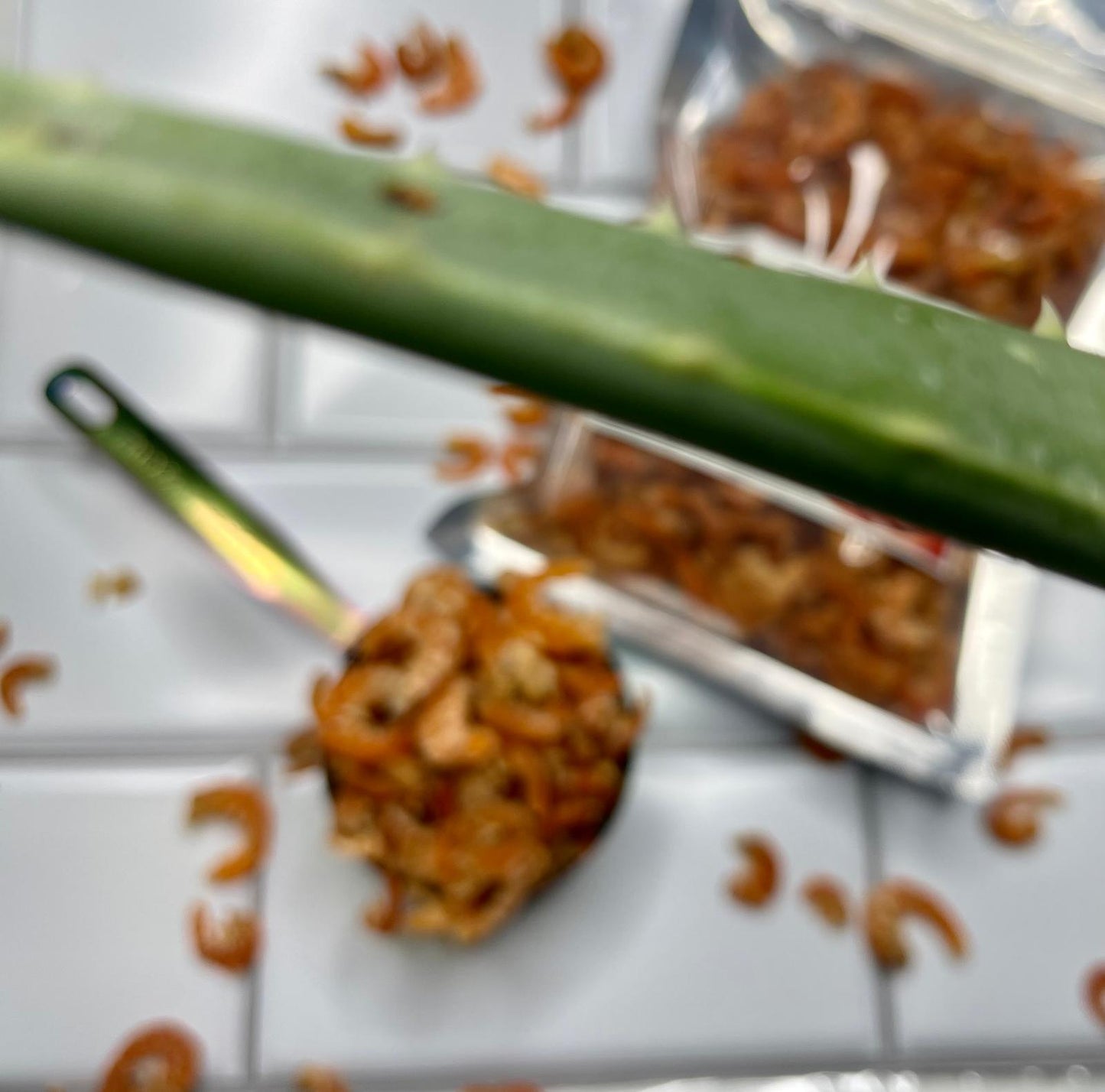 Sun-Dried Shrimp (Traditional Senegalese Seafood)