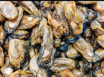 Charger l'image dans la galerie, YOKHOS Senegalese Dry Oysters Huitres Sechés 200g
