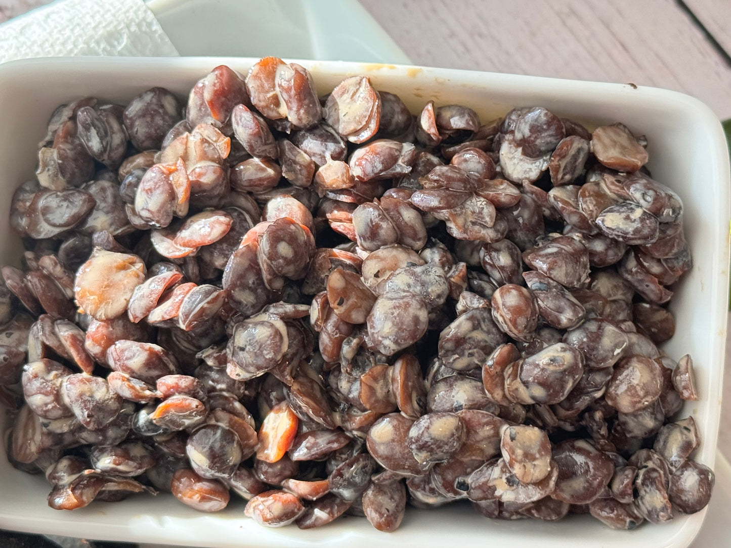 Fresh Fermented Netetou (Locust Beans - Iru / Dawadawa / Ogiri)